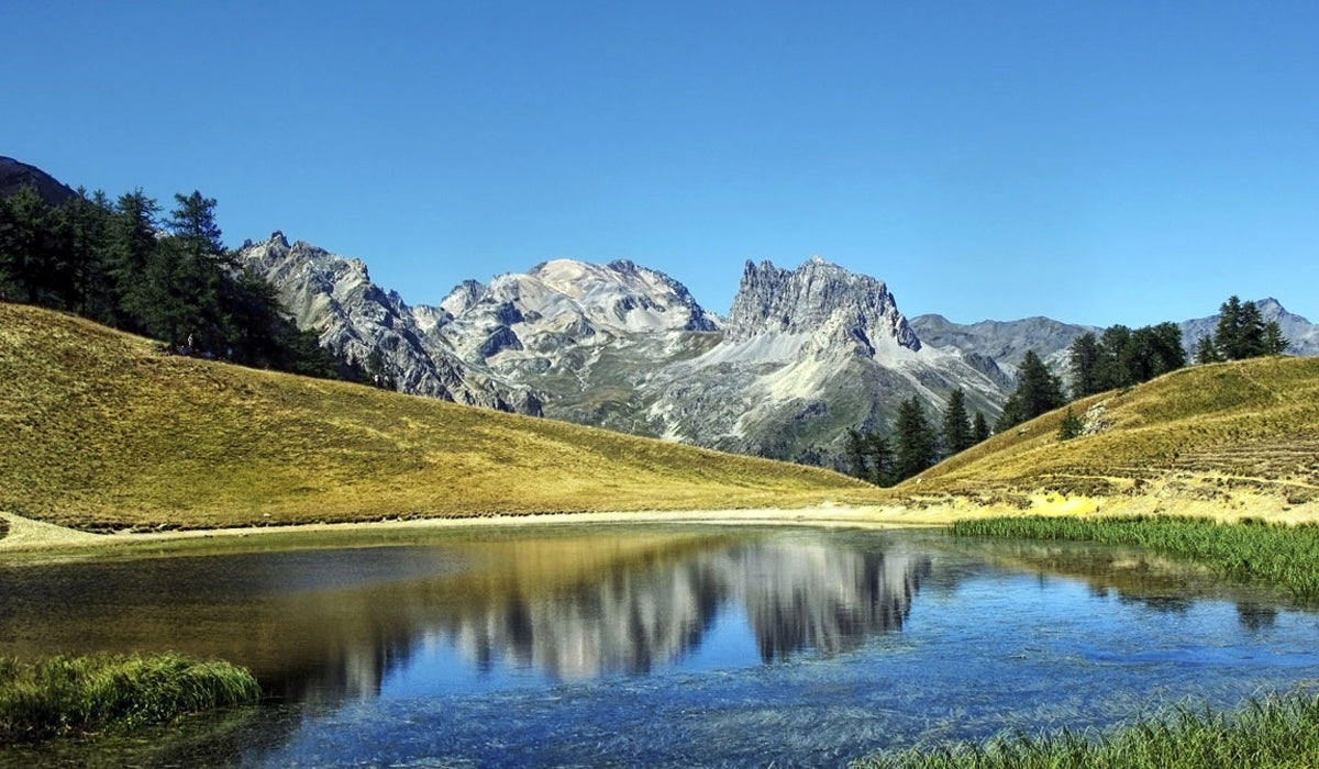 Z CAMPI NATURA 2025!! soggiorni residenziali in Rifugio .. aria di montagna.. voglia di natura!!!