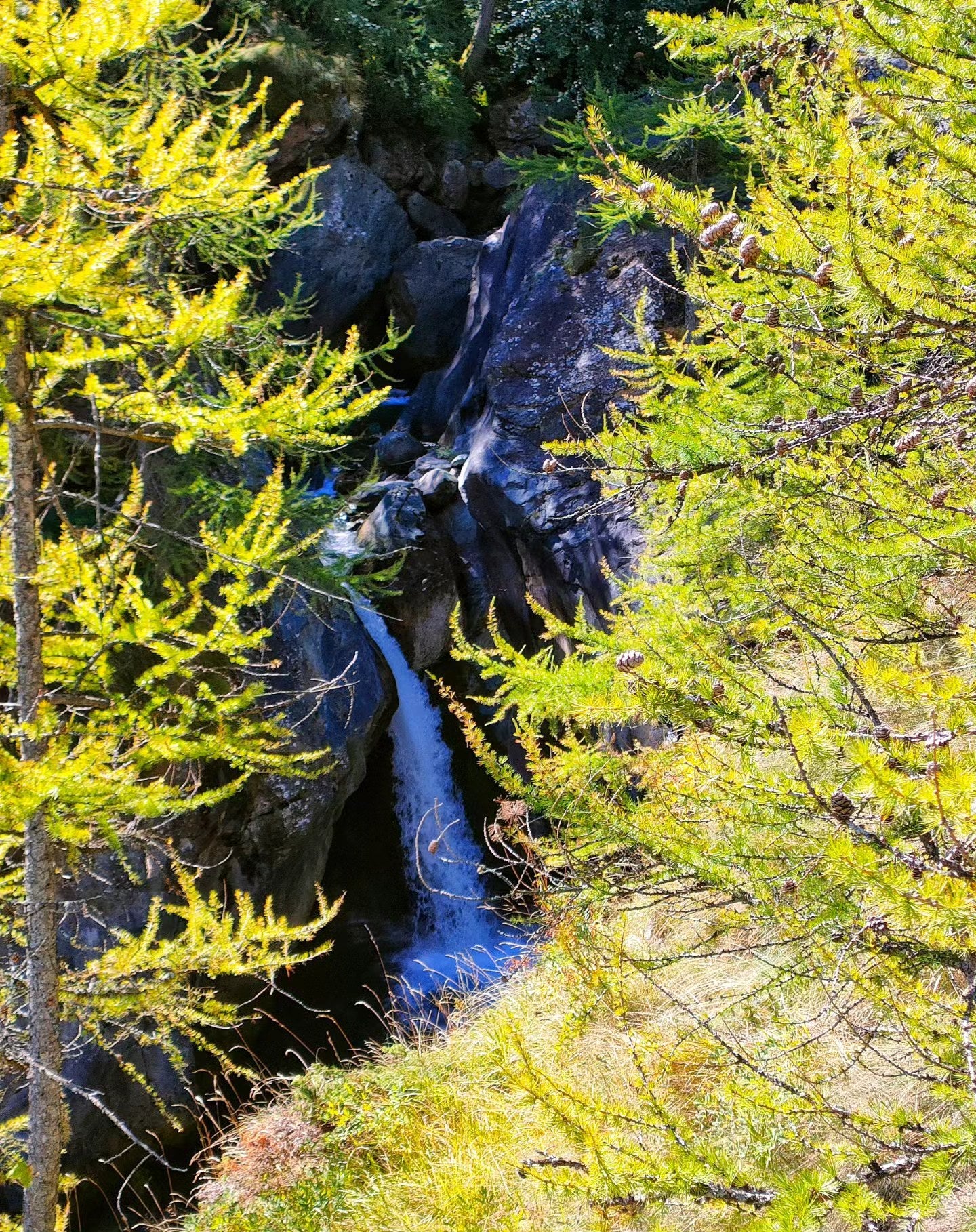 20-21 SETTEMBRE 2025 - RIFUGIO JERVIS ALLA SCOPERTA DELLA SALAMANDRA DI LANZA
