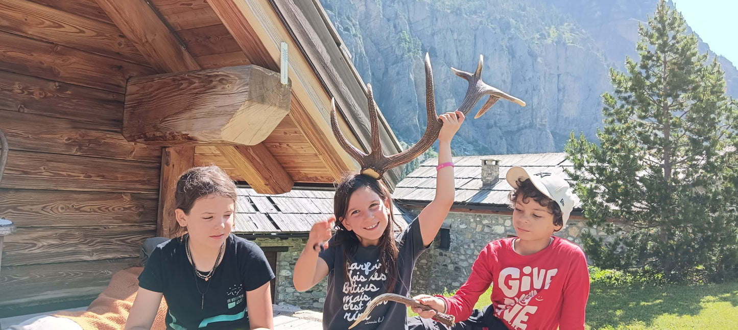 CAMPI NATURA 2026!! Soggiorni residenziali in Rifugio .. aria di montagna.. voglia di natura!!!