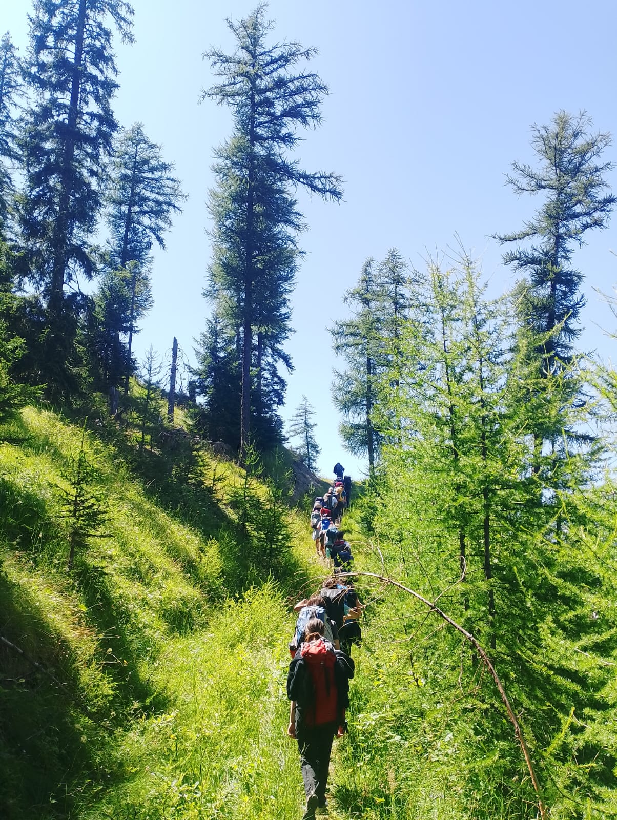 CAMPI NATURA 2026!! Soggiorni residenziali in Rifugio .. aria di montagna.. voglia di natura!!!