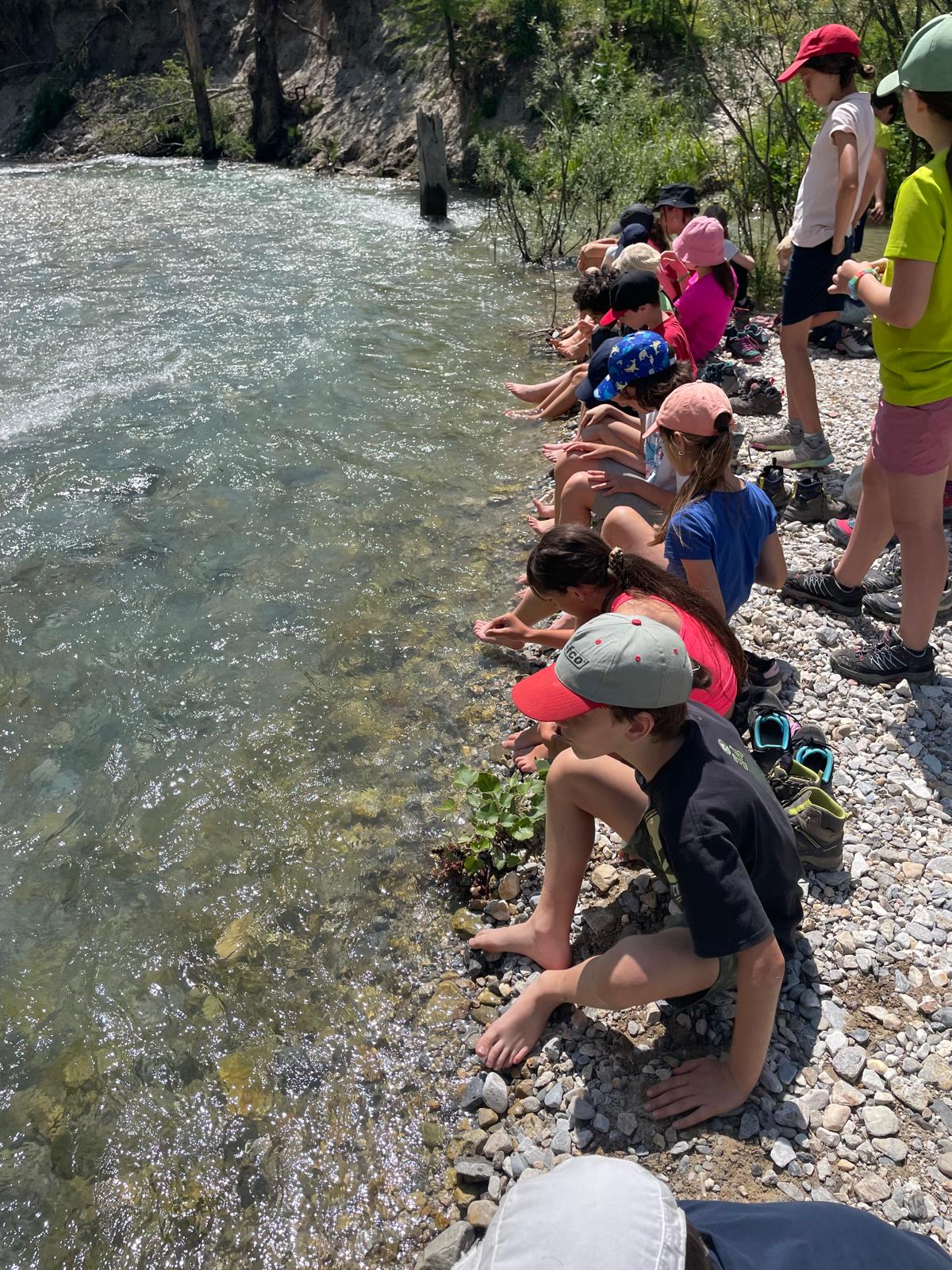 CAMPI NATURA 2026!! Soggiorni residenziali in Rifugio .. aria di montagna.. voglia di natura!!!