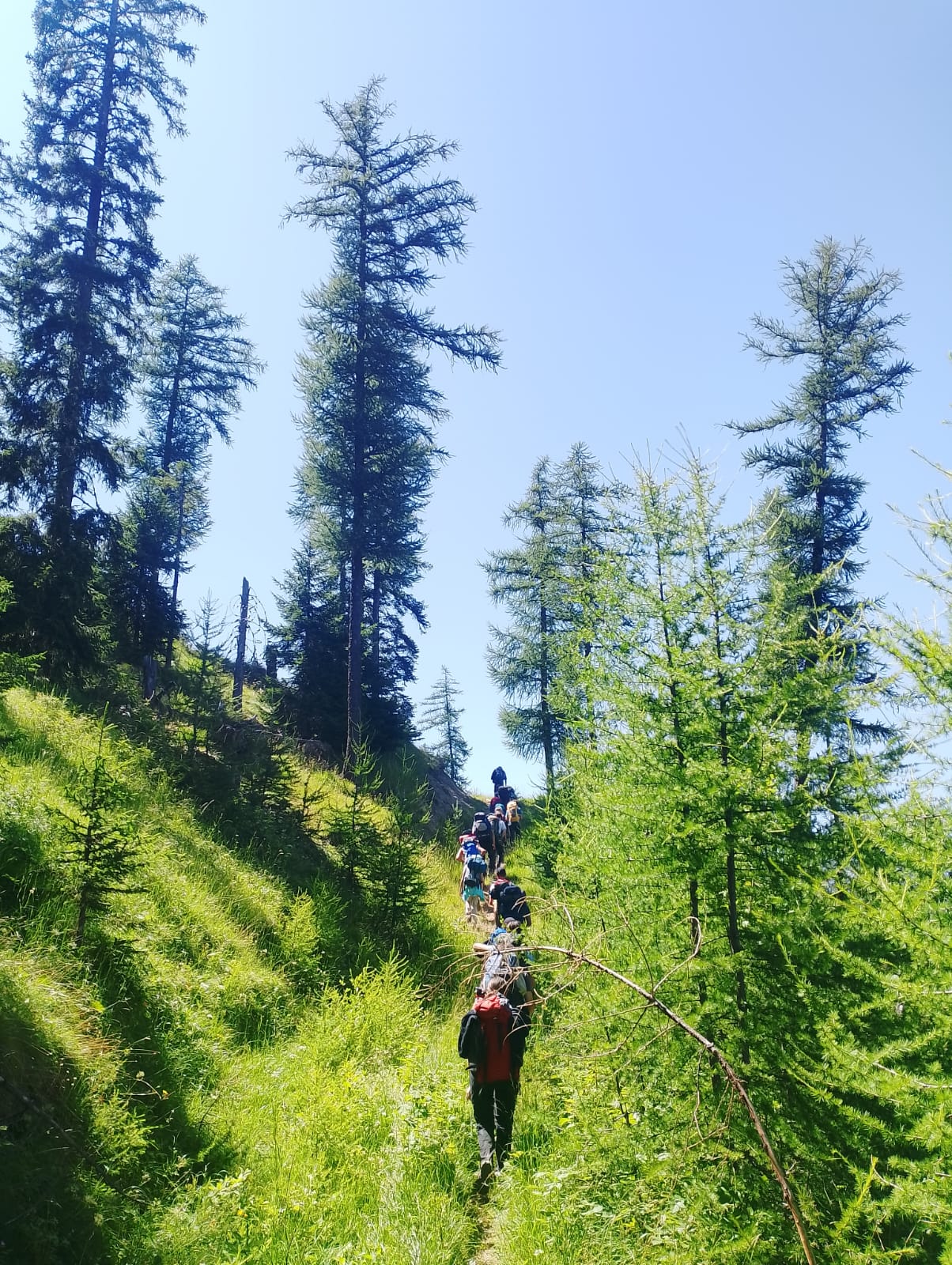 CAMPI NATURA 2026!! Soggiorni residenziali in Rifugio .. aria di montagna.. voglia di natura!!!