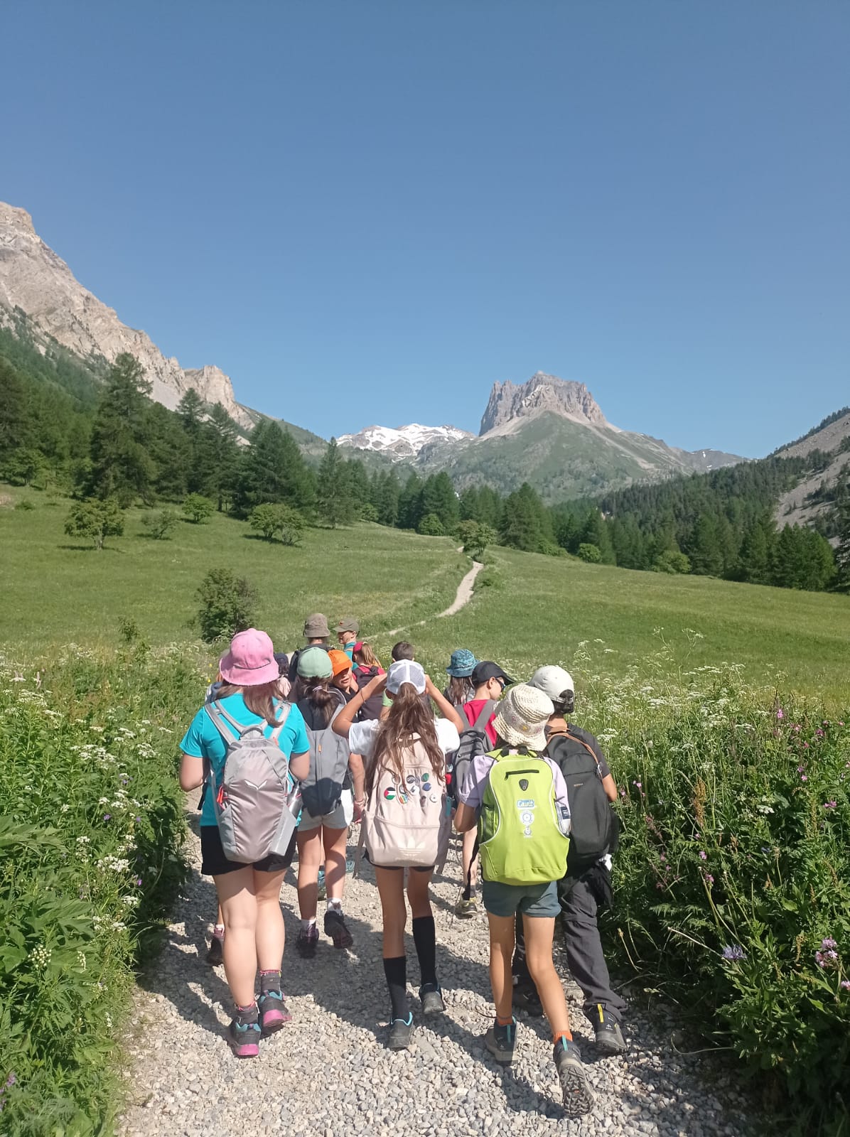 CAMPI NATURA 2026!! Soggiorni residenziali in Rifugio .. aria di montagna.. voglia di natura!!!