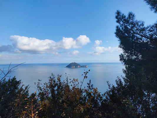 ALBENGA: STORIE DI TERRA E DI MARE