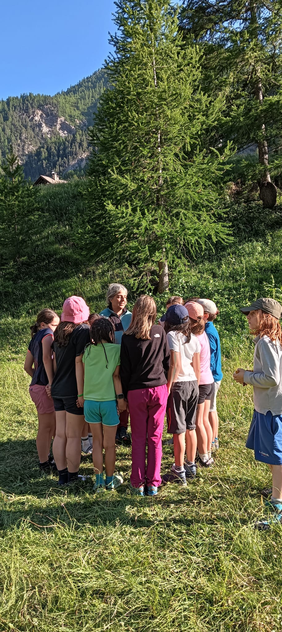 CAMPI NATURA 2026!! Soggiorni residenziali in Rifugio .. aria di montagna.. voglia di natura!!!